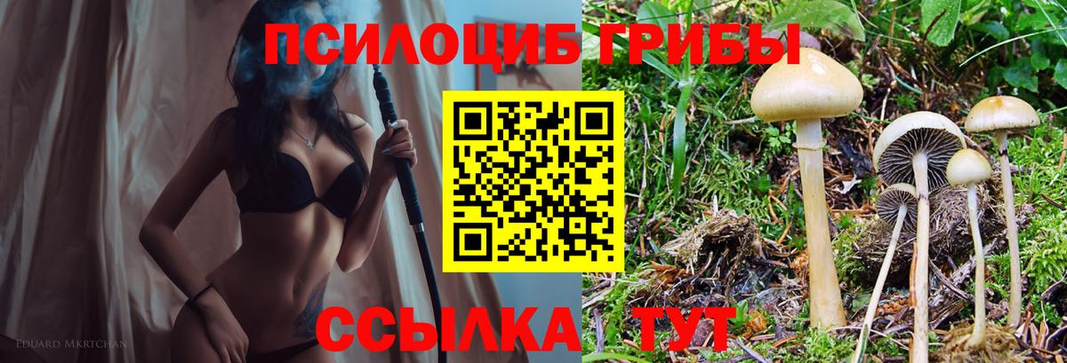 Зерноград  Галлюциногенные грибы ЛСД  Вход с VPN 